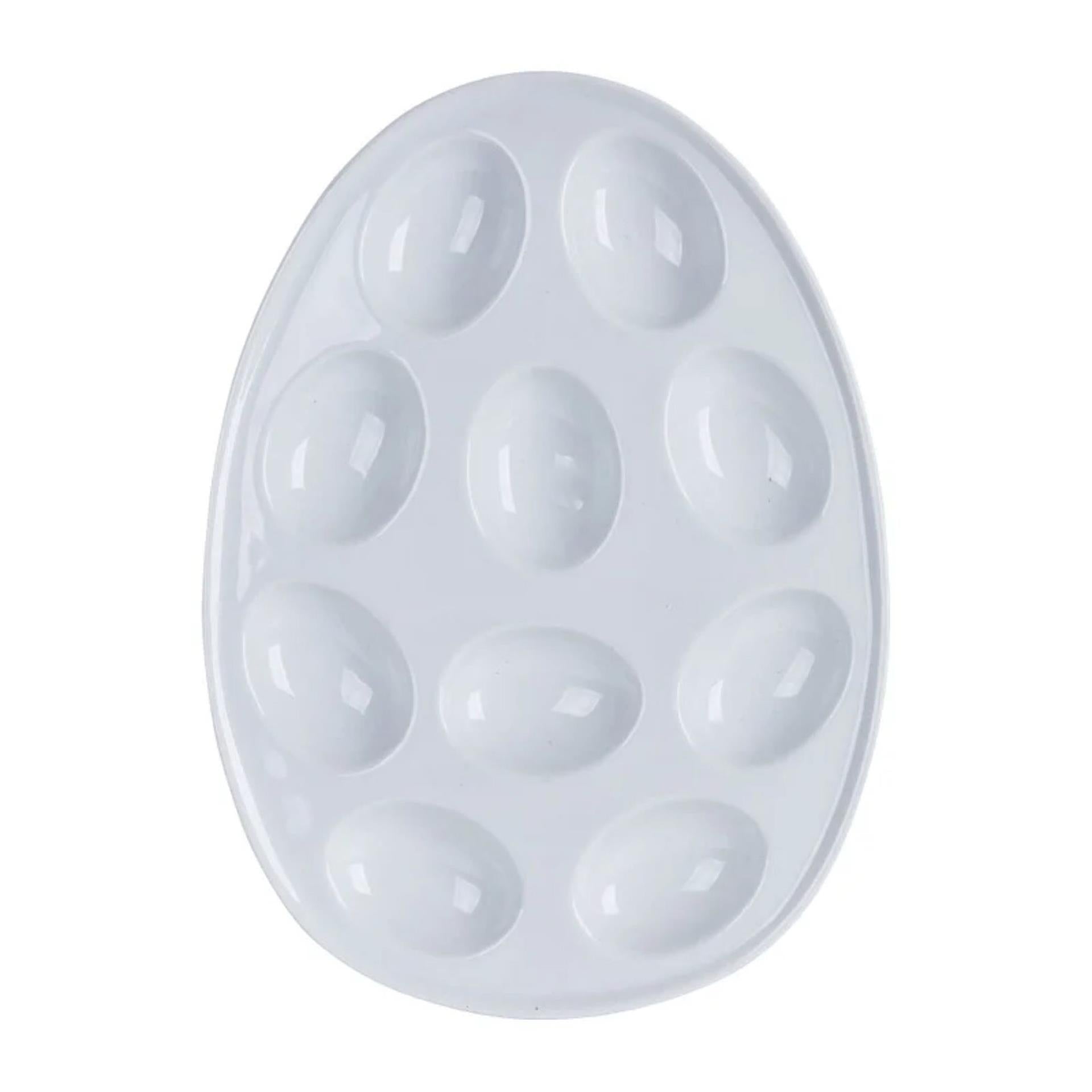 Coquille d'oeuf pour 10 œufs 26x19x2cm