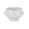 Bowl de soupe Lion's Head White