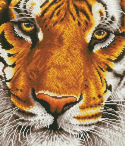 Diamond dotz® Diamond Dotz Bengal Magic - Peinture diamant - 18 250 dotz - 42x36 cm