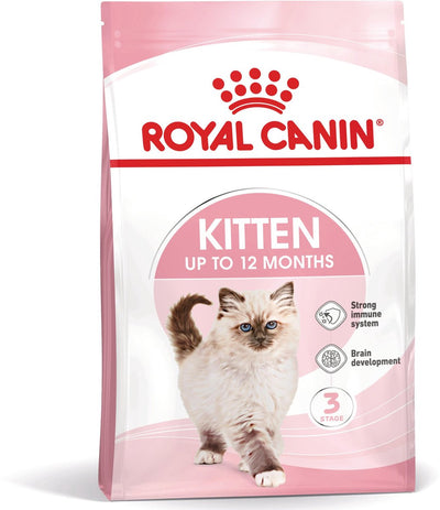 Chaton de canin royal canin