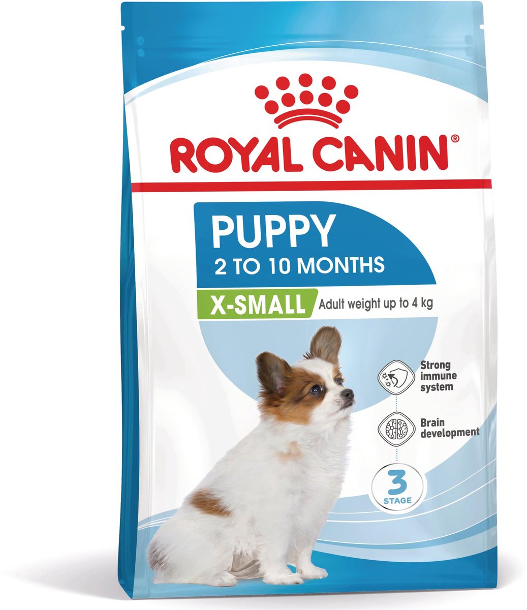 Canin royal