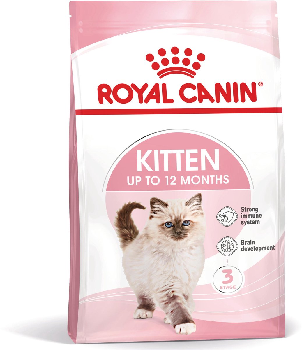 Chaton de canin royal canin