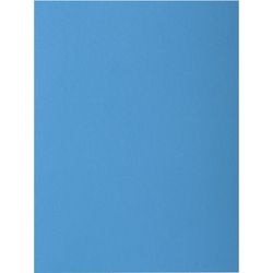 Classeur exacompta 217119e a4 carton