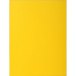 Classeur exacompta 217111e a4 carton