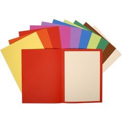 Dossier classeur exacompta 160001e A4 carton recyclé