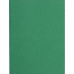 Classeur exacompta 160004e a4 carton recyclé