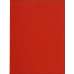 Classeur exacompta 160012e a4 carton recyclé