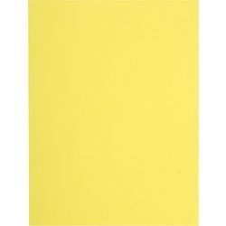Classeur exacompta 160005e A4 carton recyclé
