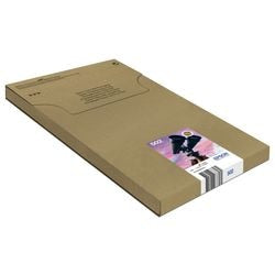 Cartouche d'encre epson v64510
