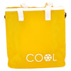 Sac frais 18 litres 29x31x21 cm 4 assorti
