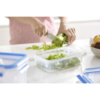 TEFAL VIRSHOLDING BOX FRAIS 100% FEAK-FREE - Contenu 0,85L - Round