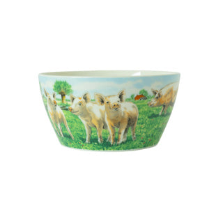 Wiebe van der zee vient 13 cm cochon wiebe