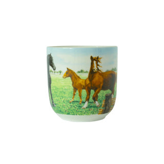 Wiebe van der Zee Cup XL Paard 41 Cl Wiebe