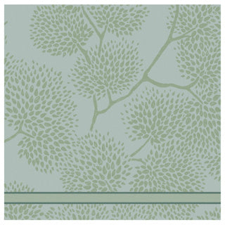 Arbres de torchage de thé DDDDD 60x65 vert