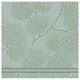 Arbres de torchage de thé DDDDD 60x65 vert