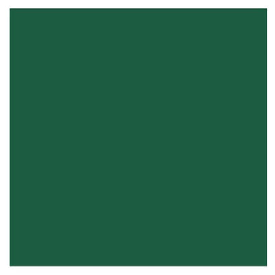 Serviettes Duni 33x33cm vert foncé