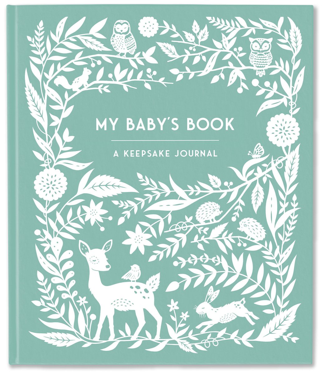 Journaux souvenirs - le livre de mon bébé
