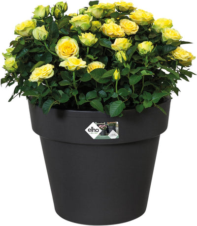 Elho green basics top planteur 47 - pot de fleur d'extérieur - ø 47,0 x h 40,0 cm - noir vivant