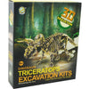 Aro sculptant un squelette de dinosaure tricératops 23cm