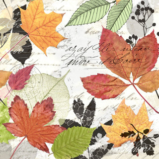 Serviettes Duni herbier 33x33cm