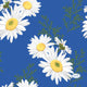 Duni serviettes Daisy Blue 24x24 cm