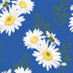 Napkins Daisy Blue 33x33 cm