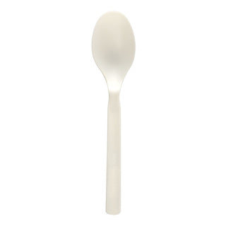Cuillère petit blanc 10 pièces | 5 pièces