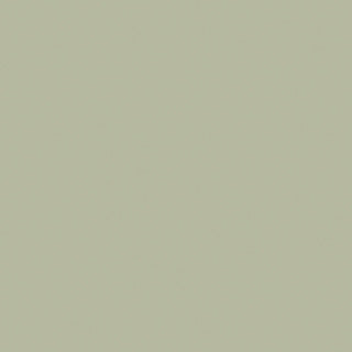 Serviettes Duni vert pistache 33x33cm
