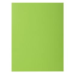Dossier de fichiers exacompta 807013e vert a4