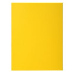 Dossier de fichiers exacompta 807011e jaune a4