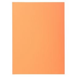 Dossier de fichiers exacompta 850102e orange a4