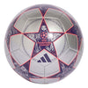 Le football de la ligue des champions adi - argent