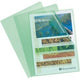 Chemises en L hetzel 56113e vert PVC a4