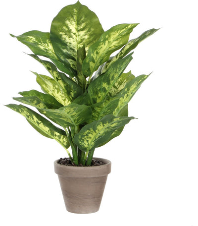 Mica decorations plante artificielle dieffenbachia - vert - 40 cm - en pot - fausse plante - plante d'intérieur