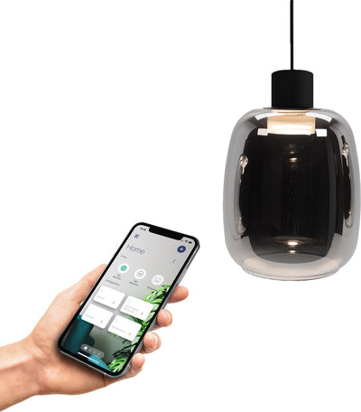Lampe à suspension intelligente Eglo connect.z molochio-z - LED - ø 12,5 cm - verre fumé noir - lumière blanche RGB réglable - dimmable - zigbee