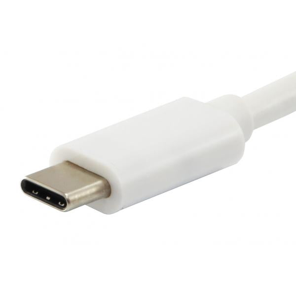 Équipement équipé 133462 USB Type C à VGA Femme USB A adaptateur PD féminin, 1080p, 15cm, blanc