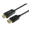 Équipement Équipement 119390 DisplayPort au câble HDMI, DisplayPort -> HDMI, homme masculin, hétéro, 2m, noir