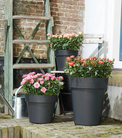 Elho green basics top planteur 40 - pot de fleur d'extérieur - ø 39,0 x h 33,0 cm - noir vivant