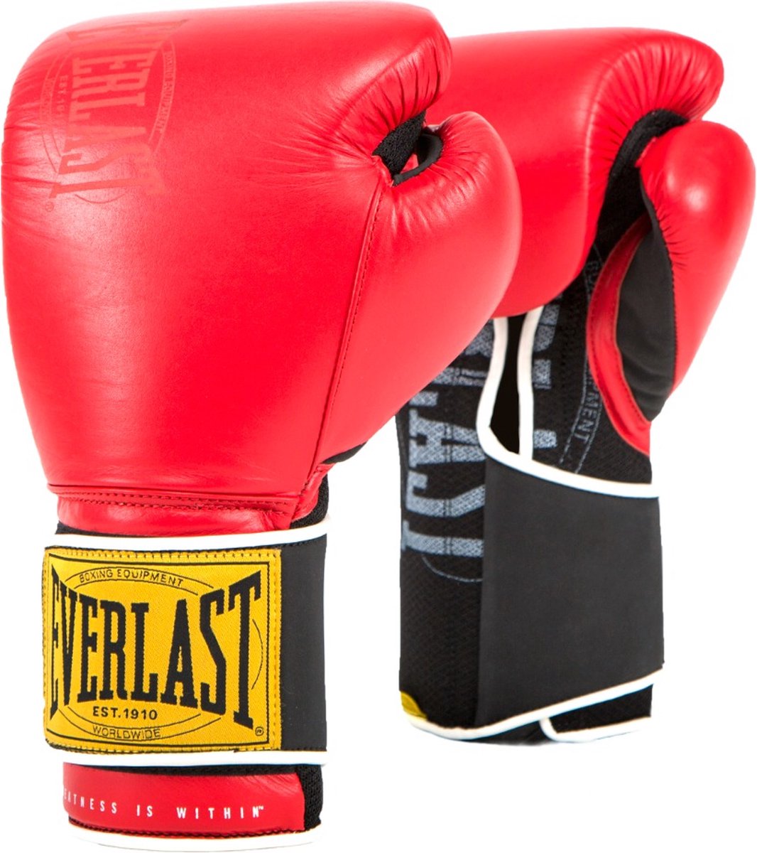 Everlast 1910 classic training - gants de boxe - 14 oz - rouge