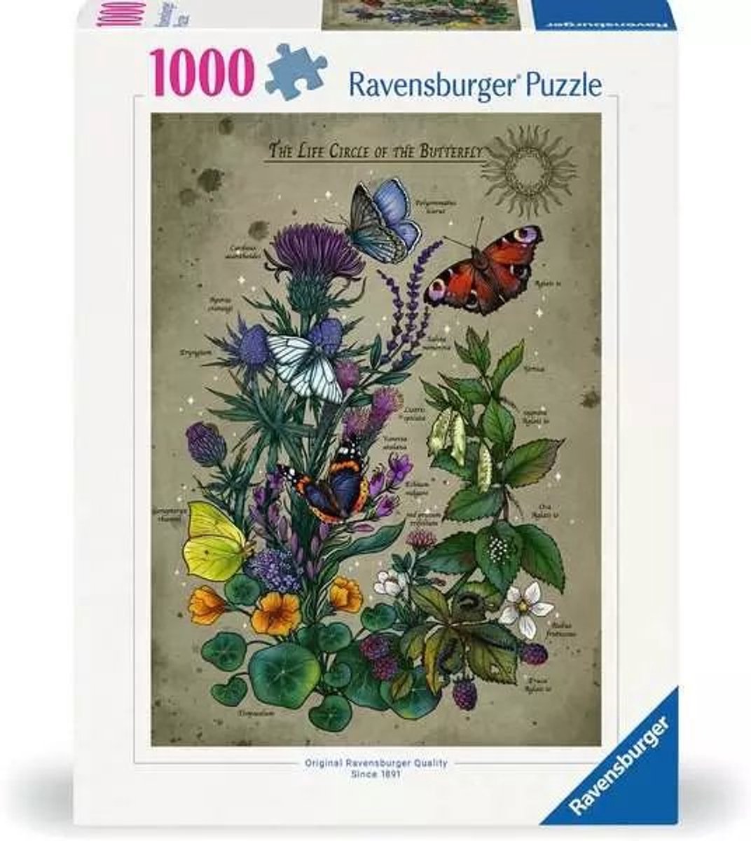 Papillon Ravensburger
