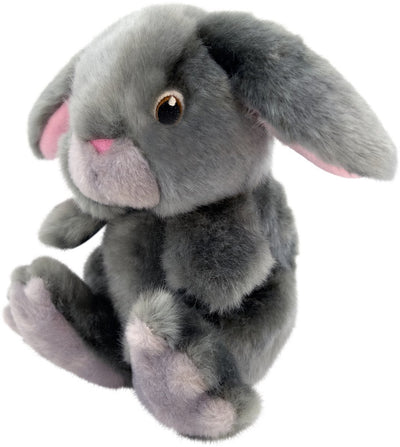 Kong chien Toughz lapin moyen
