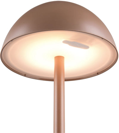 Rl vis ta lumière réalité ricardo - lampe de table - moka - incl. 1x SMD 1,7 W - Touch 4 niveaux - Connexion USB - Éclairage haut et bas - rechargeable - sans fil - éclairage extérieur - IP54