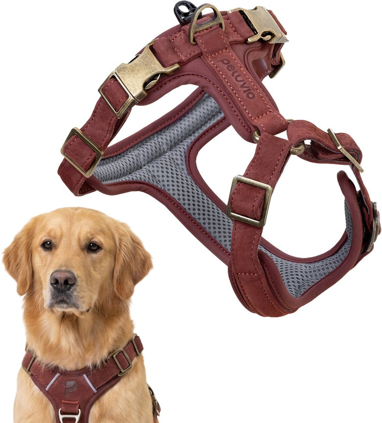 Peluvio Lord - Harnais pour chien en cuir - Taille L - Harnais de protection ergonomique en cuir naturel - Contrôle du confort - Boucles en cuivre durables