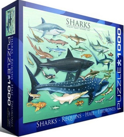 Eurographics - requins [requins] - 1000 pièces 68×48cm (l×h) - puzzle