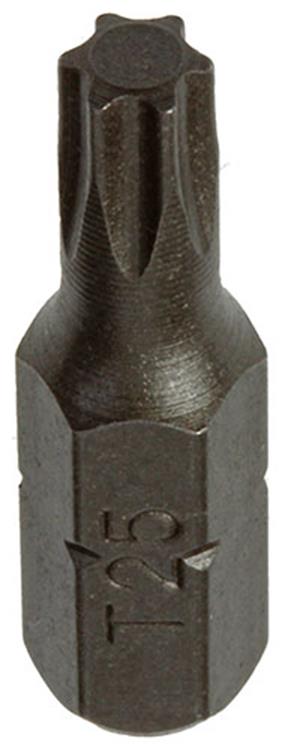Mack 1017327 - embout à vis Torx acier non traité 2 pcs t 25 | 10 pièces