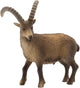 Bouquetin de Bullyland (62755)