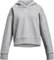 Under Armour UA Rival Fleece Hoodie Pull de sport unisexe - gris - blanc