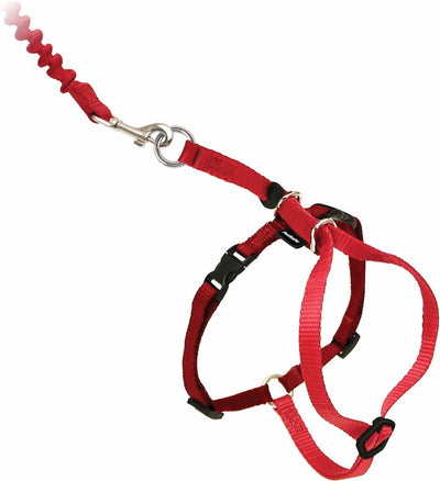Harnais pour chat Petsafe easy walk avec laisse élastique - harnais pour promener votre chat - rouge ou bleu - s m l - couleur : rouge, taille : moyen 27-36 cm