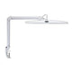 Lampe de bureau maul maulwork LED