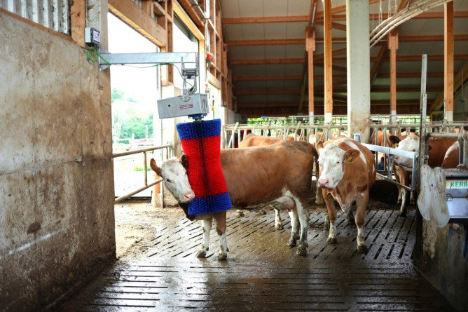 Brosse à vache Happycow maxiswing